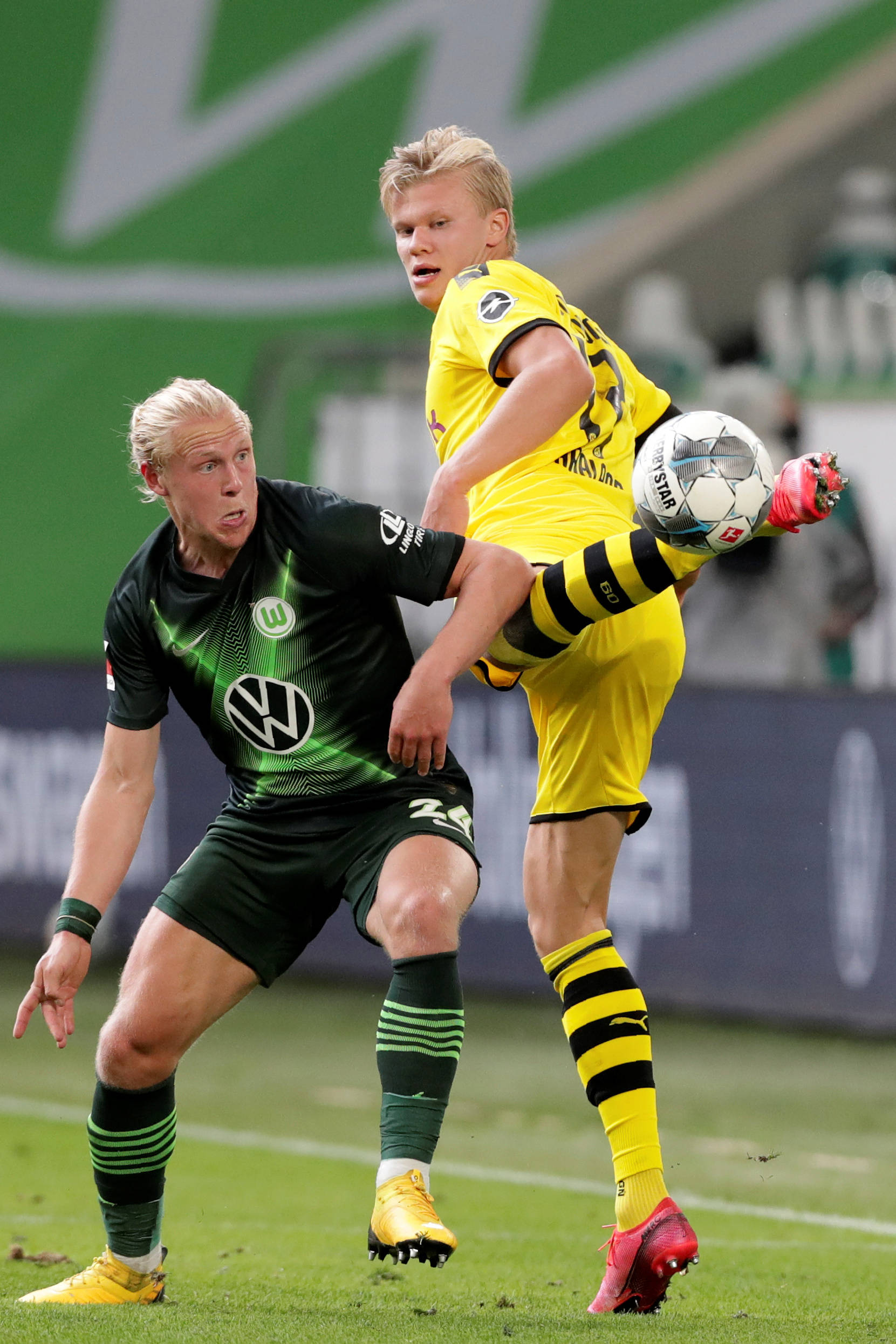 虽然他仅贡 虽然他仅贡