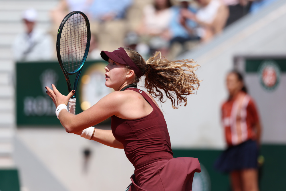 引进了一些 引进了一些